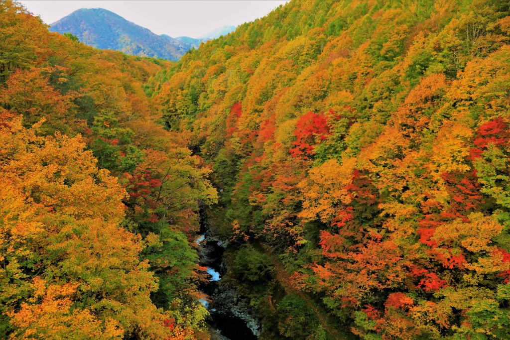 中津川渓谷 by 岩さん （ID：8226152） 写真共有サイトPHOTOHITO
