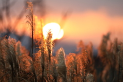 夕陽