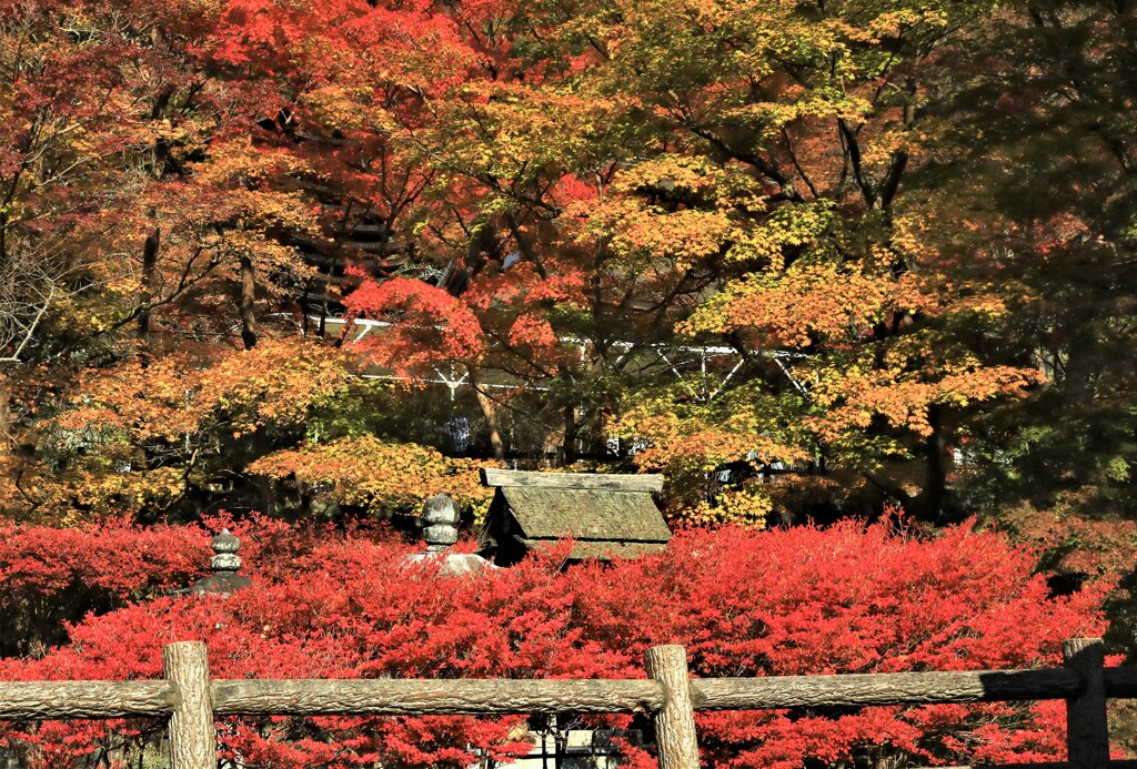 談山神社紅葉10