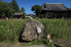 般若寺カンマン石