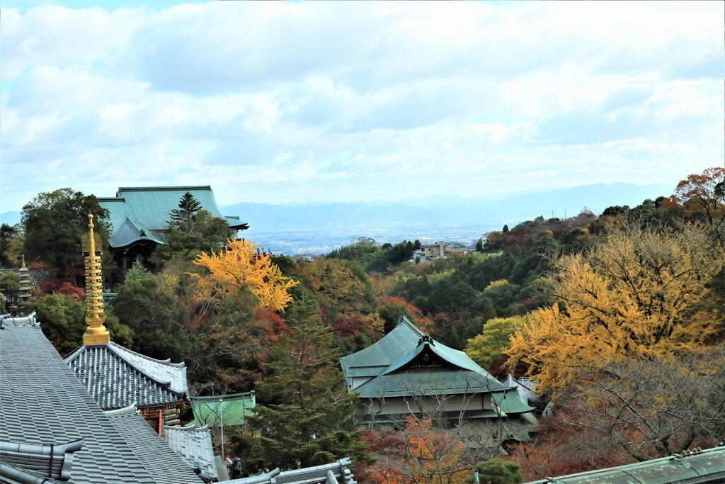 朝護孫子寺紅葉12