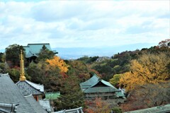 朝護孫子寺紅葉12