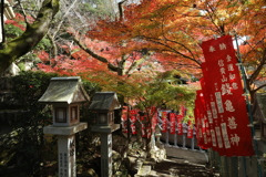 E33A2589朝護孫子寺紅葉13