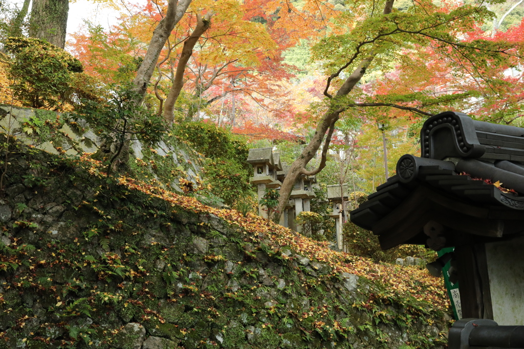 朝護孫子寺紅葉9