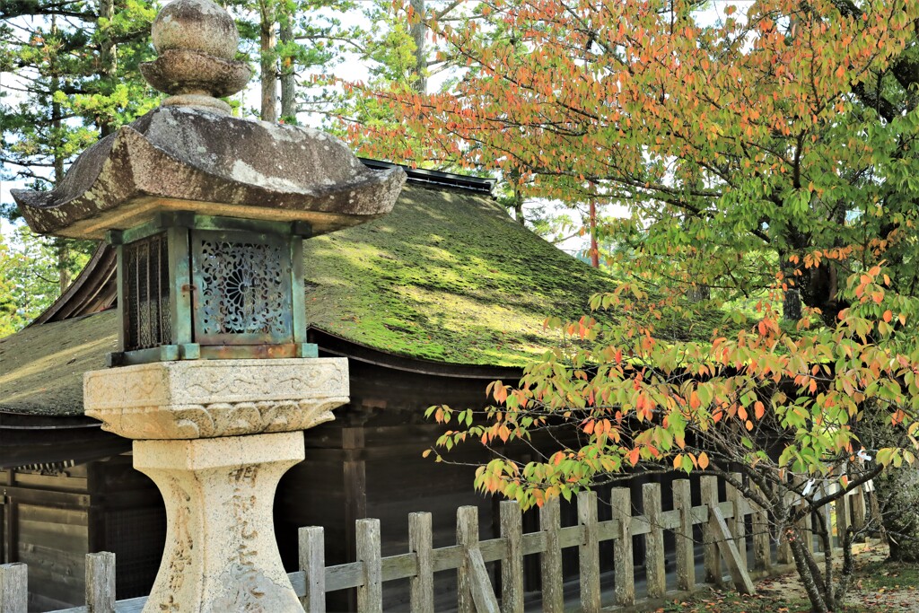 高野山金剛峰寺5