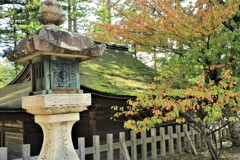 高野山金剛峰寺5