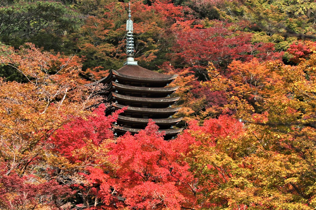 談山神社紅葉3