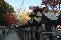 E33A2525朝護孫子寺紅葉5