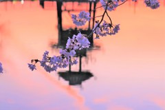 池に映える鍵遺跡