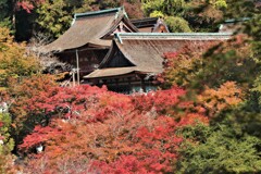 談山神社紅葉2