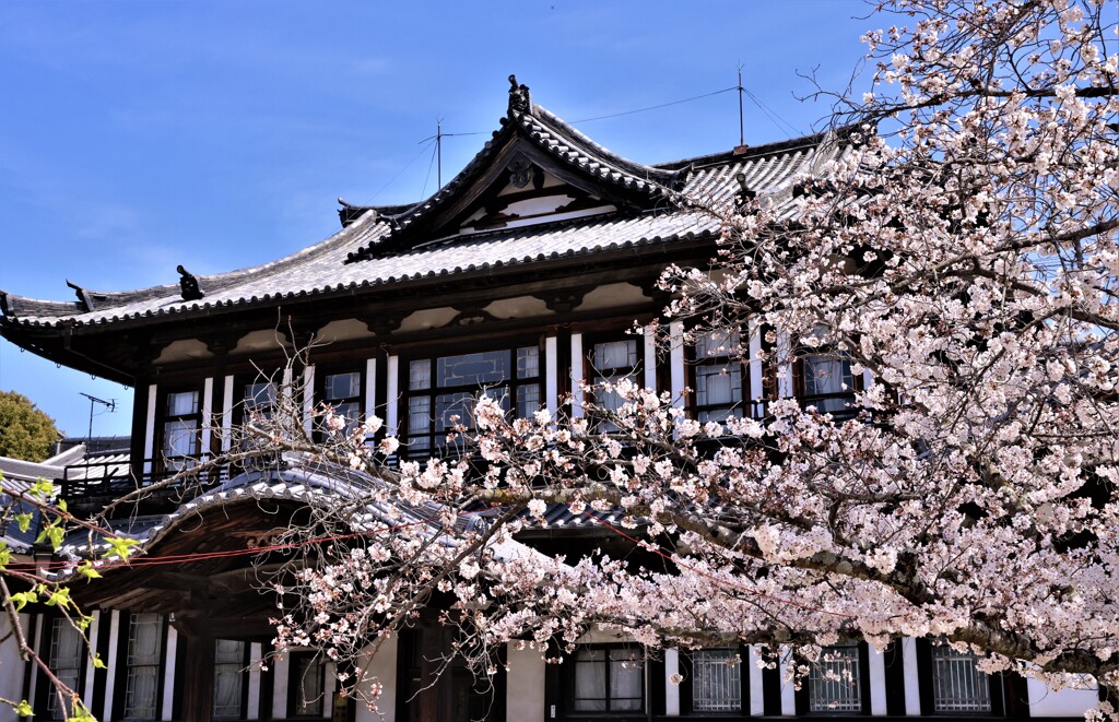 郡山城3