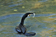 ナイスタイミング