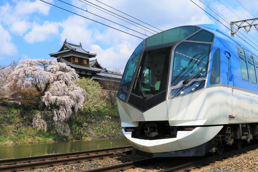 郡山城の枝垂桜と近鉄特急4