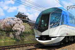 郡山城の枝垂桜と近鉄特急4