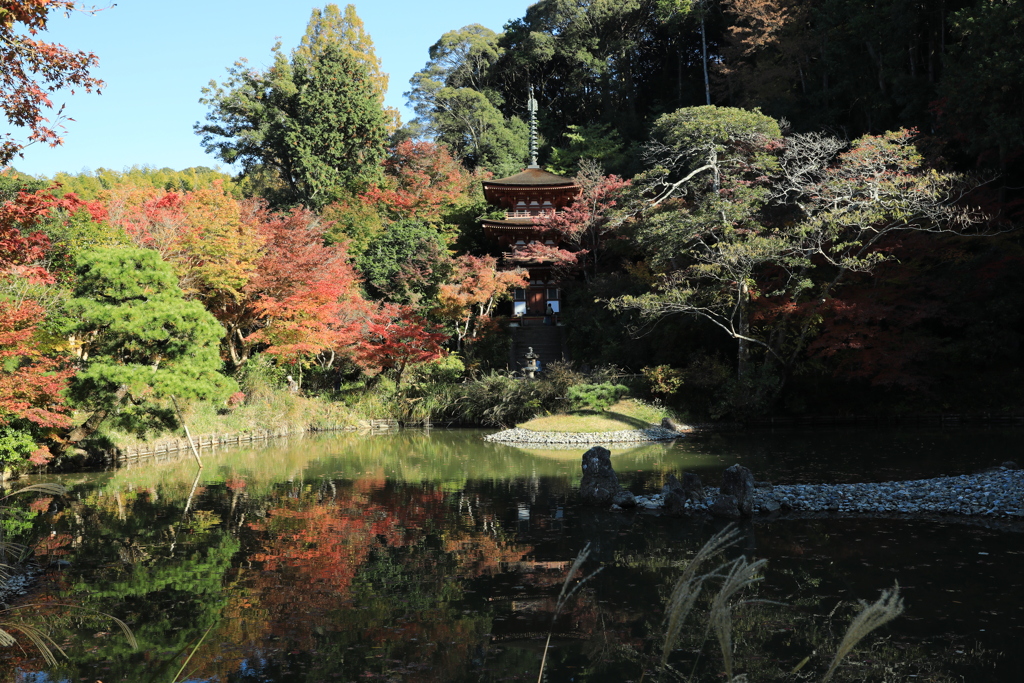 浄瑠璃寺紅葉
