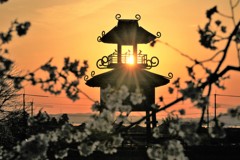 唐古遺跡の夕日