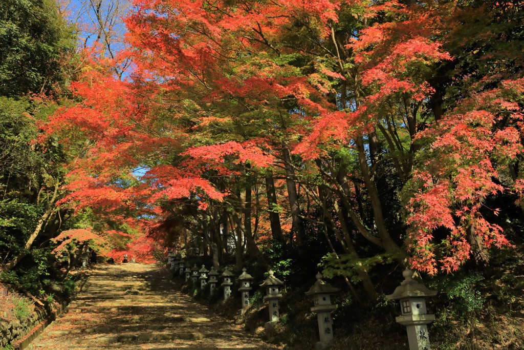 胡宮神社参道 (2)