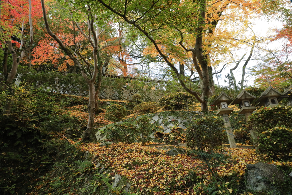朝護孫子寺紅葉10