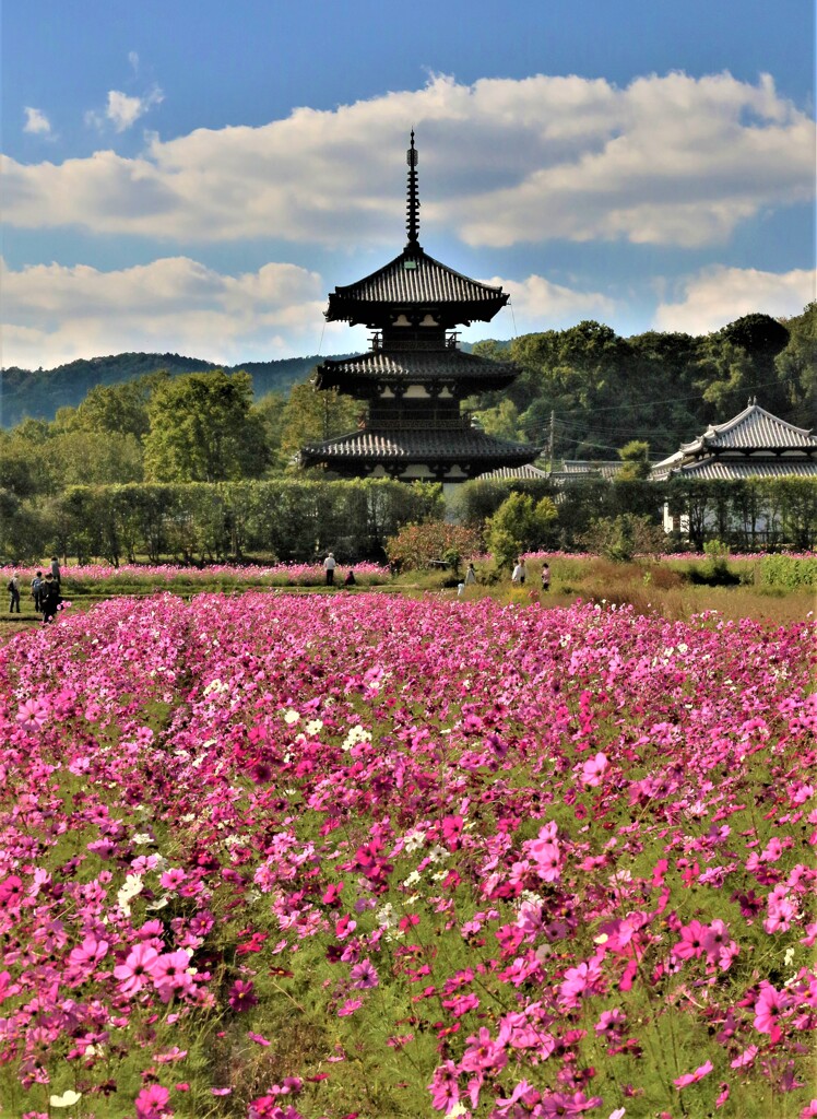 斑鳩の里法起寺