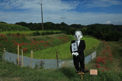 カカシと彼岸花4