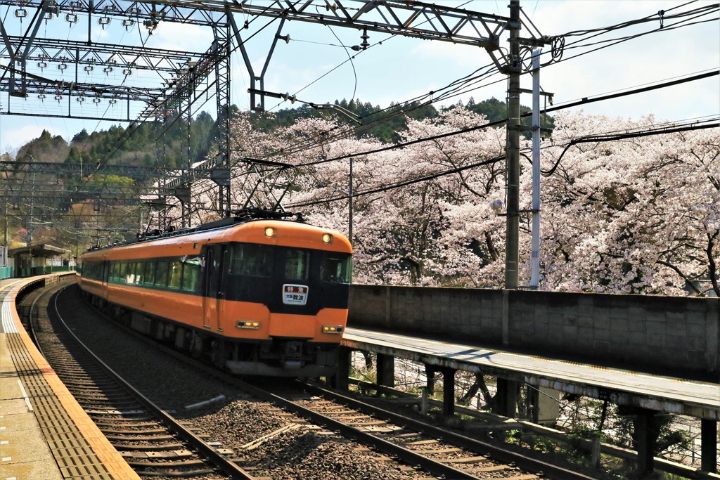 待ちに待った春2