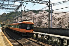 待ちに待った春2