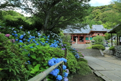 矢田寺1