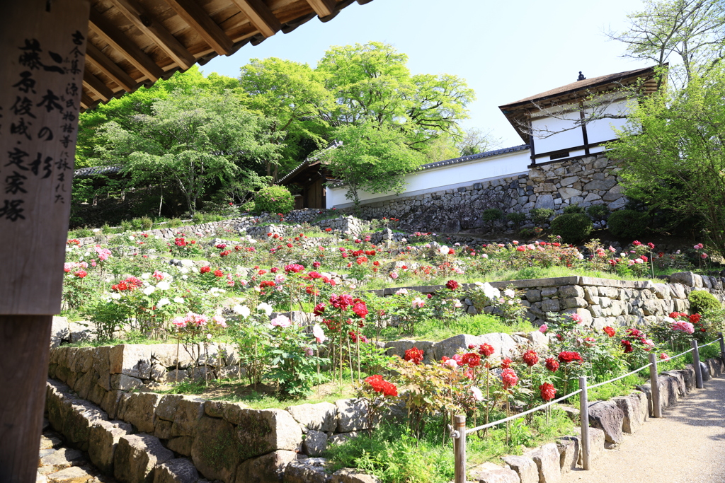 長谷寺