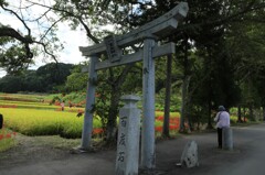 一言主神社参道