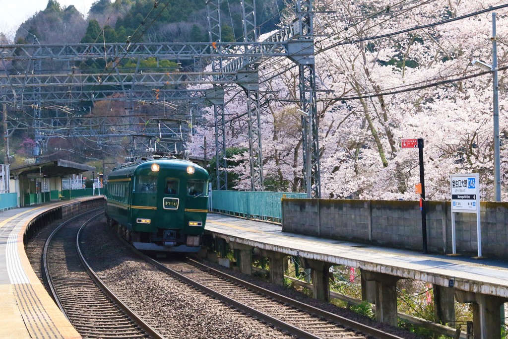 待ちに待った春1