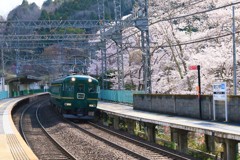 待ちに待った春1