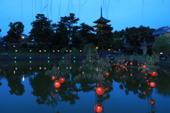 奈良町遊歩の提灯イベント1