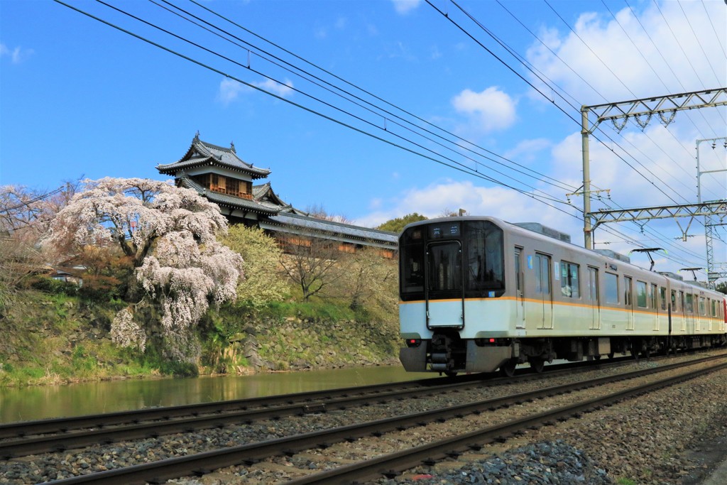 郡山城の枝垂桜と近鉄特急2