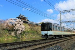 郡山城の枝垂桜と近鉄特急2