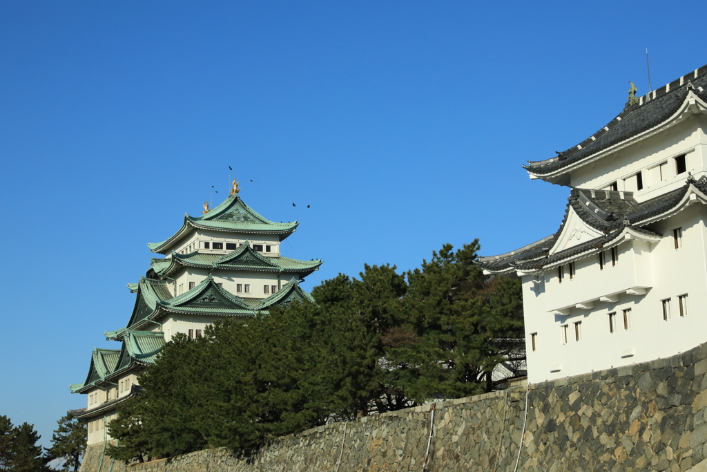 名古屋城1