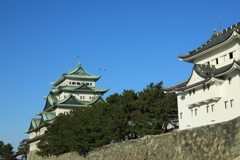 名古屋城1