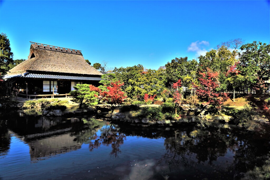 依水園紅葉、三秀亭