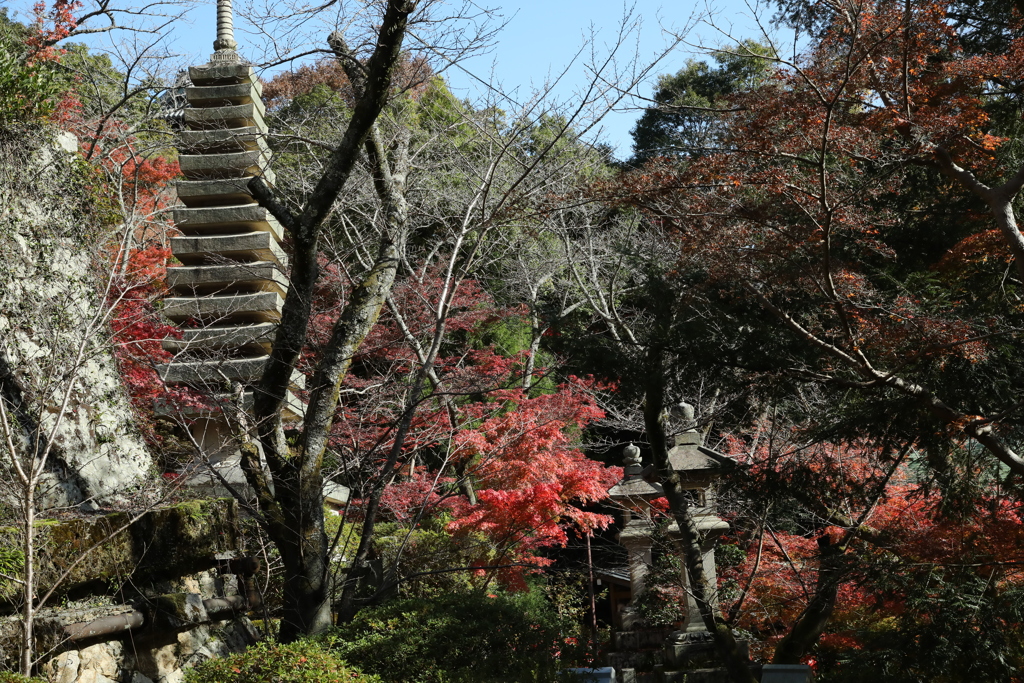 E33A2536朝護孫子寺紅葉7