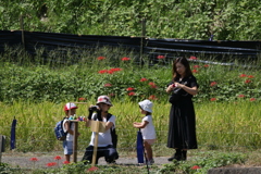 カカシと一緒に