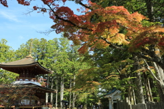 高野山金剛峰寺6