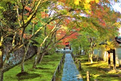酬恩庵一休寺参道