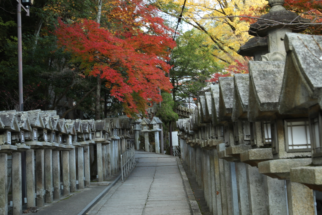 朝護孫子寺紅葉4