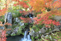 依水園紅葉