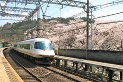 待ちに待った春4