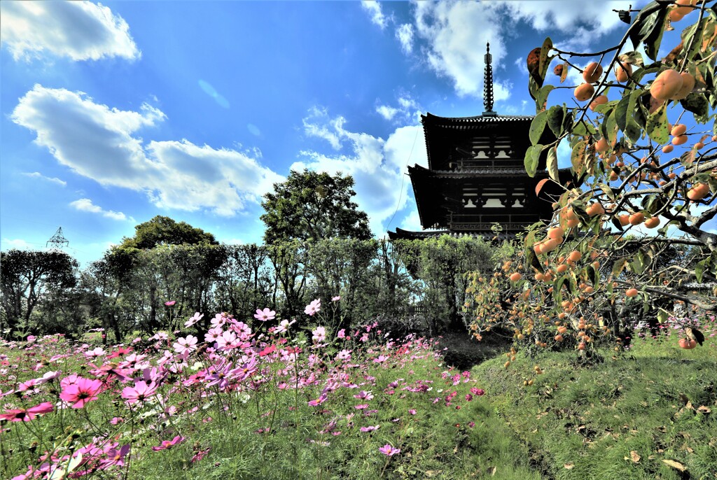 法起寺の秋