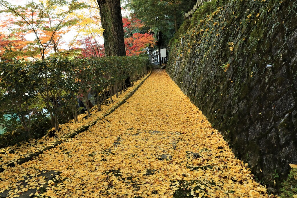朝護孫子寺紅葉7