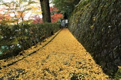 朝護孫子寺紅葉7