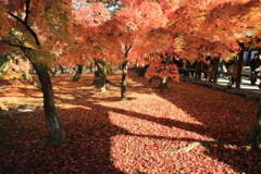 東福寺紅普門院庭園