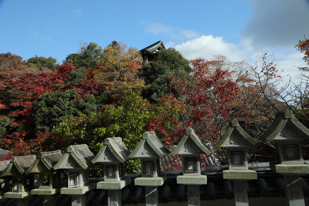 朝護孫子寺紅葉3