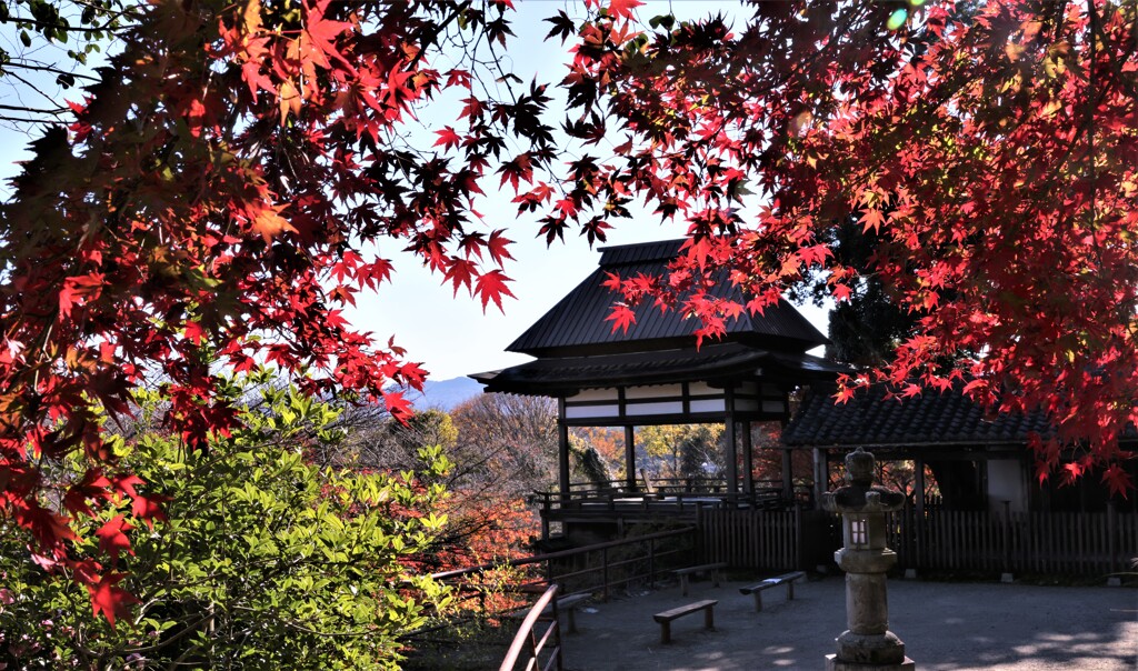 石山寺紅葉